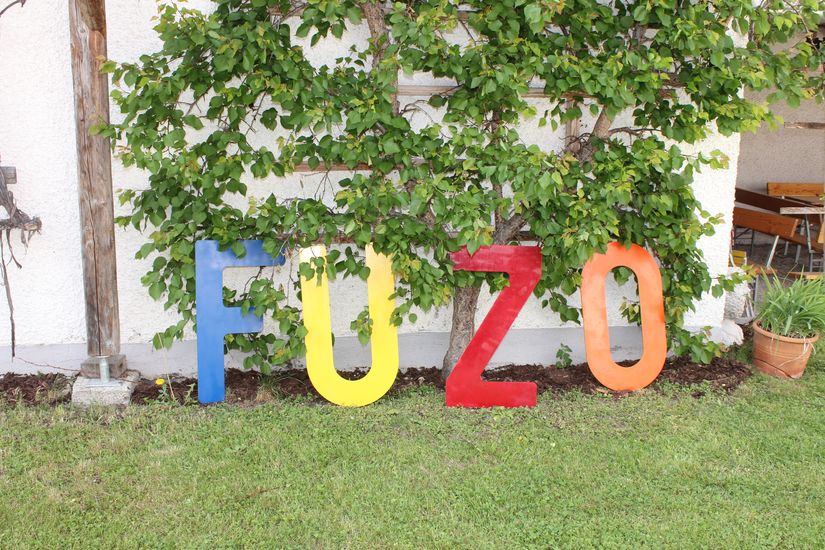 fuzo